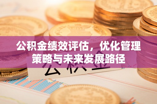弥陀公积金绩效评估，优化管理策略与未来发展路径
